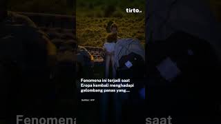 Gelombang Panas Ekstrem Landa Paris, Warga Bertahan di Taman hingga Tengah Malam Demi Udara Sejuk