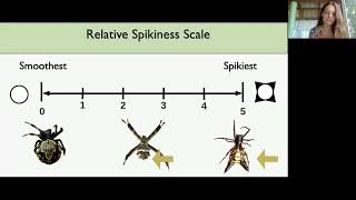 Antipredator Strategies of Spiders across a Predation Gradient as a...  [Schmidt, Jessica C.]