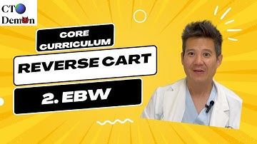 CTO Demon Reverse CART II