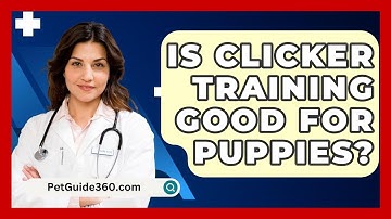 Is Clicker Training Good For Puppies? - PetGuide360.com
