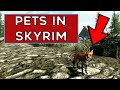 Skyrim Anniversary Edition NEW FOX PET! Where To Get Sweet Roll The Fox