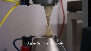 Bamboo Asper Moso Tensile tests