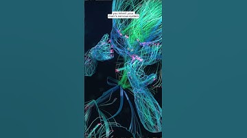 Regulating your nervous system helps you move beyond what you inherited from your parents #shorts