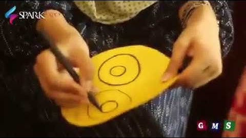 University of sargodha Spark Expo 2017