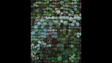 Animate any JPG photo using Plotagraph Pro#15