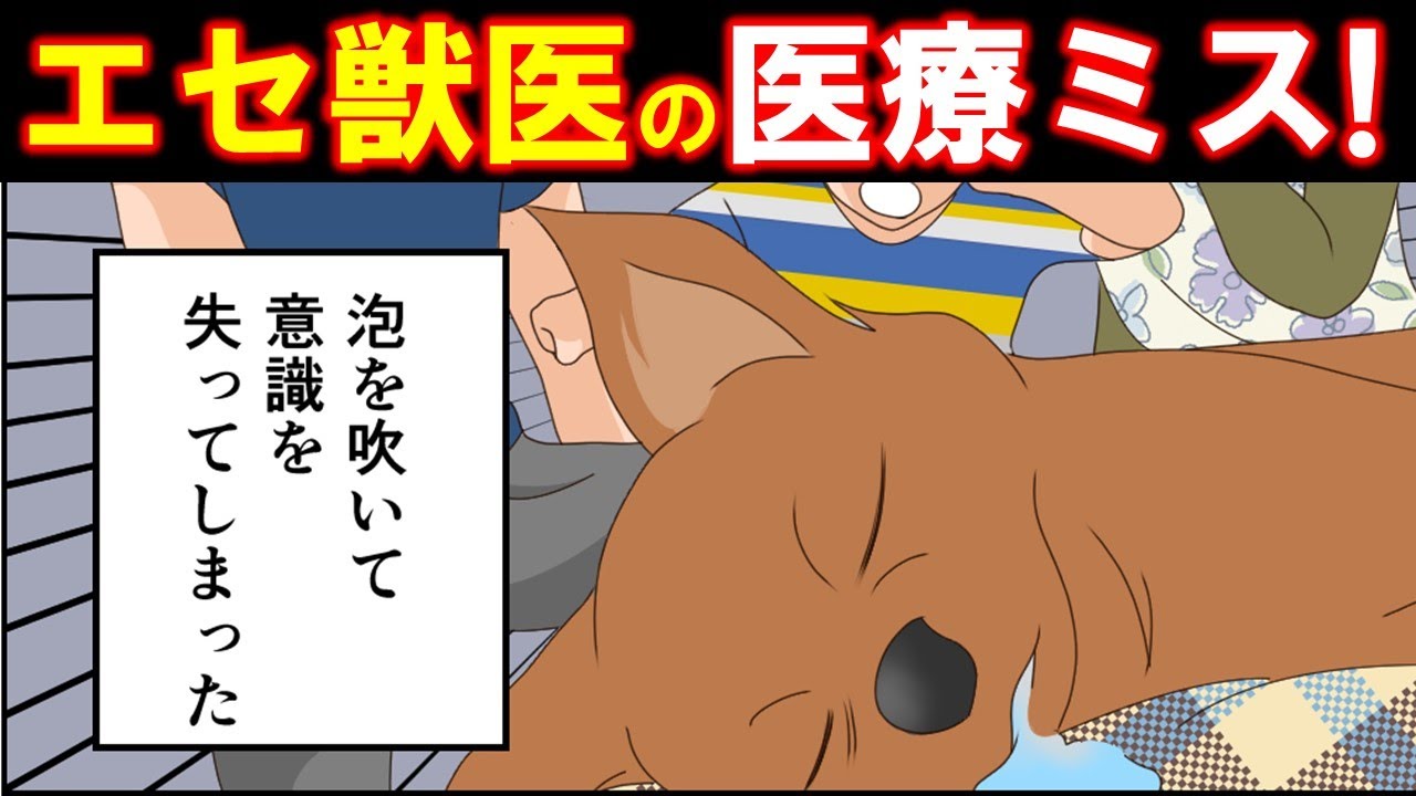 ⁣【スカッとした話】獣医「元から欠陥あった犬！」→医療ミスでペット瀕死→違う病院でオペ【漫画動画】