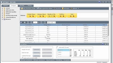 StarQueryWeb - Creating Basic Reports Online