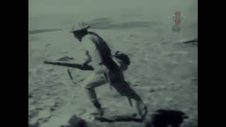 Kıbrıs Barış Harekâtı - Edit
