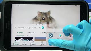 How to Open Apps in Pop Up View in SAMSUNG Galaxy Tab Active 2 – Activate Floating Window screenshot 3