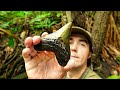 We Found a NICE Megalodon Shark Tooth in a Florida Creek | Fossil Hunting