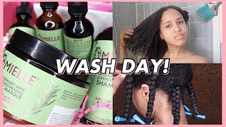 My Wash Day Routine 4A 4B 4C Hair Mielle Organics Rosemary Mint Collection Leilani Iman