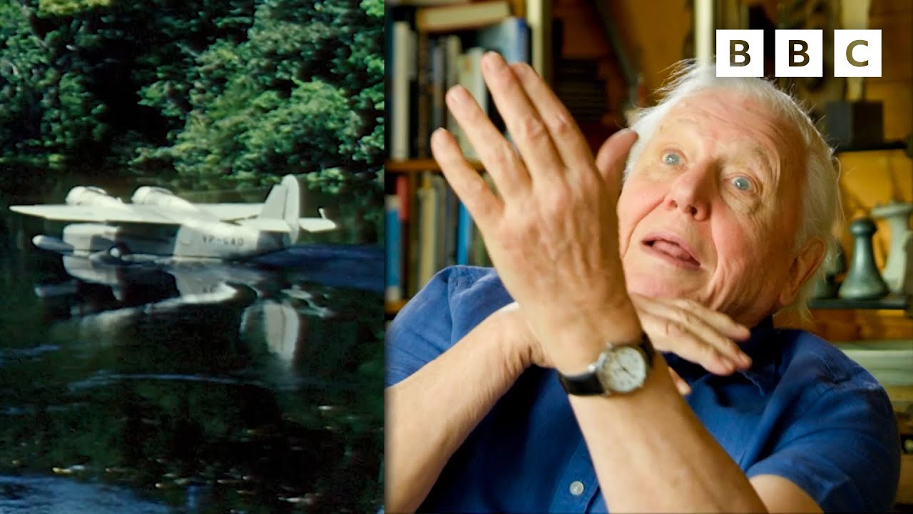 attenborough-recalls-scary-plane-take-off-david-attenborough-s-zoo