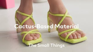 Everything You Need to Know about Cactus-Based Material | H&M