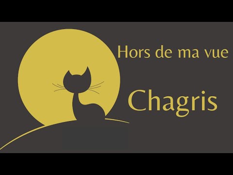 Hors de ma vue (clip officiel de Chagris, pop rock français)