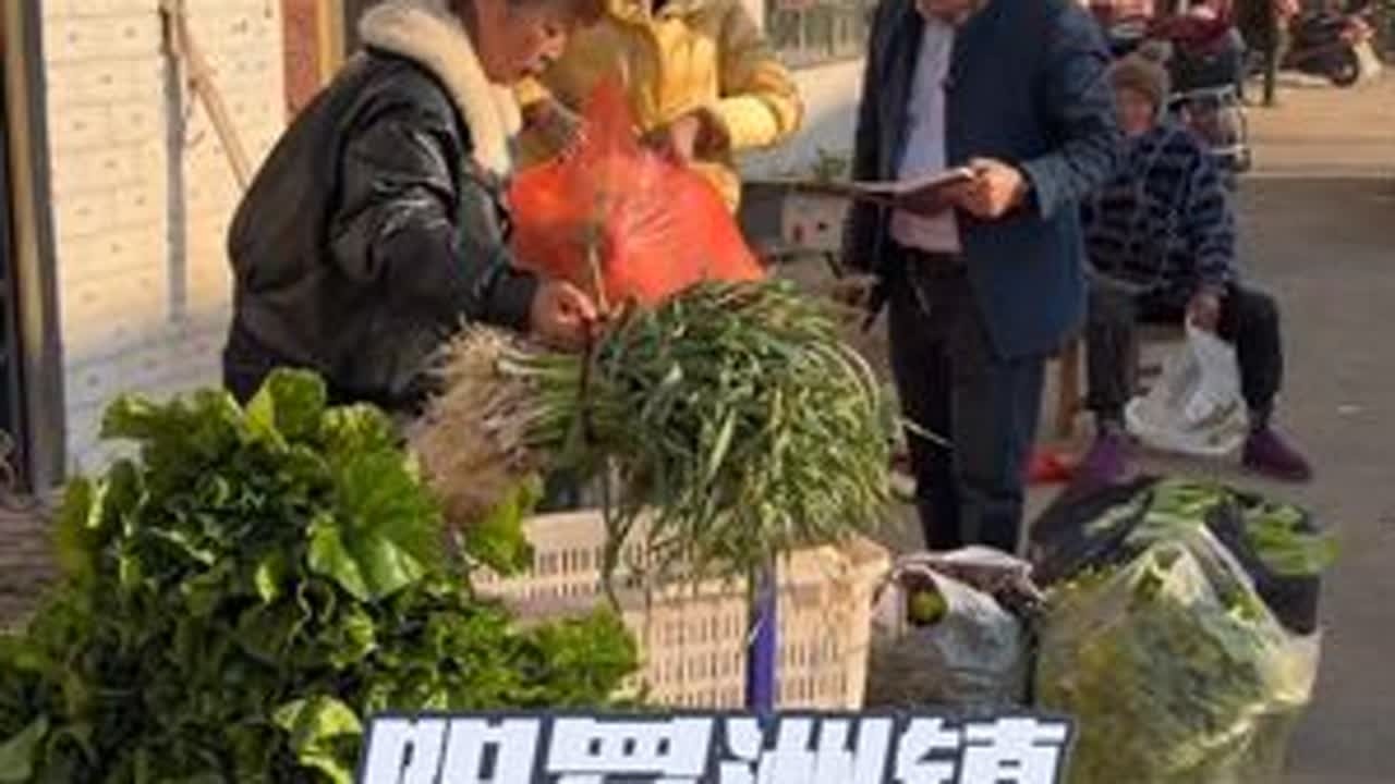 开车两小时，来沅江阳罗洲镇收菜！ #沅江 #阳罗洲镇 #南县人 #南县 #明德大院