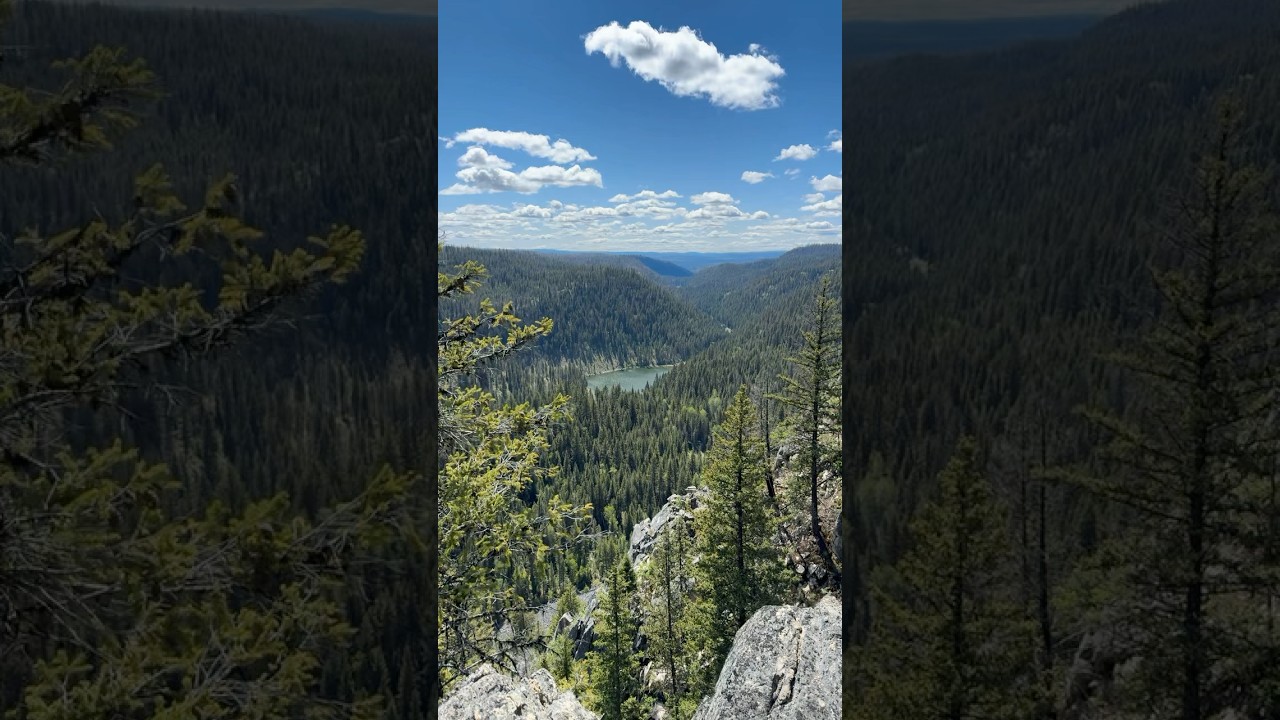 Forgot to set my spawn point 