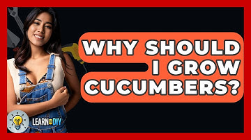 Why Should I Grow Cucumbers? - LearnToDIY360.com