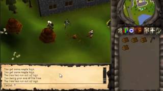 The True Of Zarfot