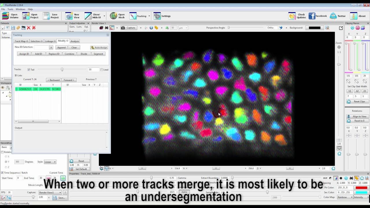 The K-means clustering added to FluoRender for segmentation and tracking