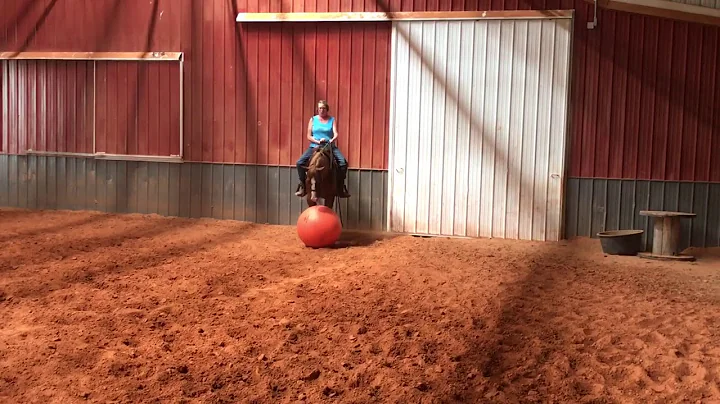Debra Malone Practice Sept 9 2017