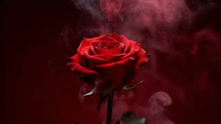 Celladım Sensin -- Kayıp Şarkılar