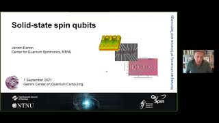 Solid-state spin qubits