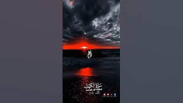 آيات من سوره الكهف القارئ/أدهم محمود ♥️ #القرآن_الكريم #تلاوات #القرآن_الكريم