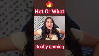 Dobby Gaming Hot Moment Dobby Is Live