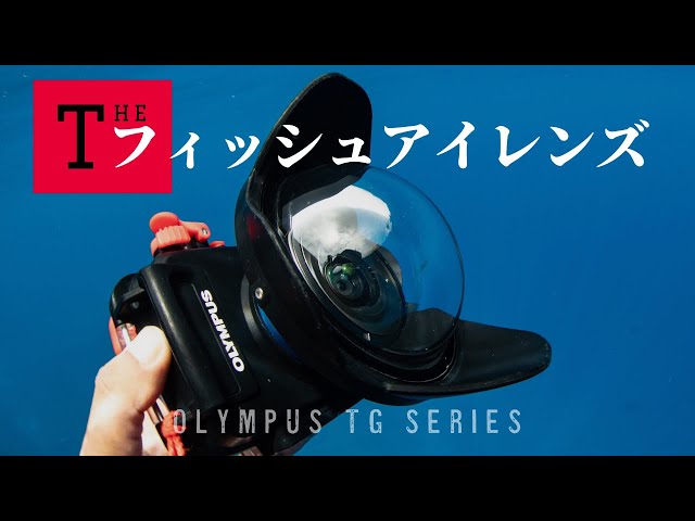 UWL-28M52R ワイドコンバーションレンズ FIX フィッシュアイコンバージョンレンズ UWL-28M52R