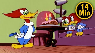 Woody Woodpecker | Splinter and Knotheads Birthday Wish | 2 Full Episodes