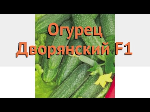 Огурец обыкновенный Дворянский F1 (dvoryanskiy f1) 🌿 обзор: как сажать, семена огурца Дворянский F1