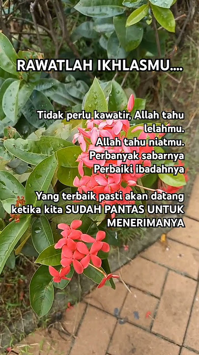 Rawatnya ikhlasmu #quotes #shorts #motivasi #shortvideo #trending
