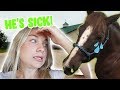 My Horse Is SICK...