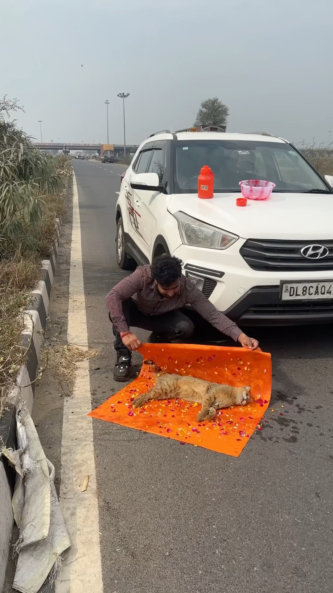 ?Please Drive Slow ???#humanity #respect #helping #trendingvideo #viralvideo #youtubeshorts?