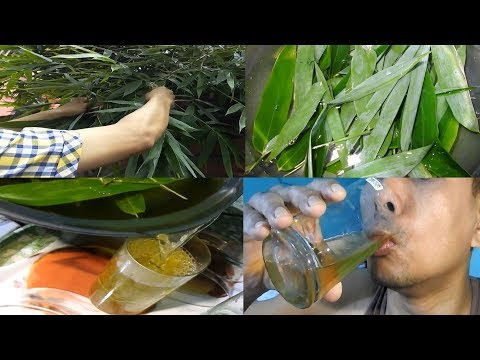 What happens on drinking bamboo leaf tea - बांस की पत्ती चाय पीने पर क्या होता है