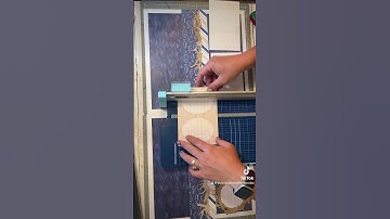 Seas Please! Quick & Easy Scrapbook page idea!