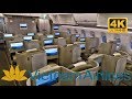 VIETNAM AIRLINES | HO CHI MINH - TOKYO | BUSINESS CLASS | A350