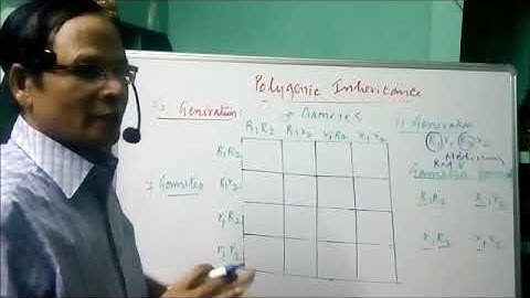 XII Bio   Botany  Chapter  2 Classical Genetics   Part  III Poygenic inheritance  Video 2