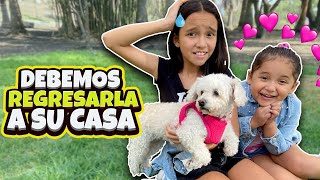 ENCONTRAMOS UNA PERRITA Y DEBEMOS ENCONTRAR A SUS DUEÑOS