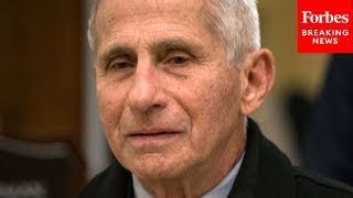 ‘Flawed Both Conceptually & In Practice’: Dr. Fauci Shreds The Great Barrington Declaration