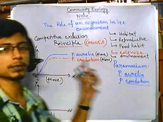 competitive exclusion principal definition competitive exclusion principal definition