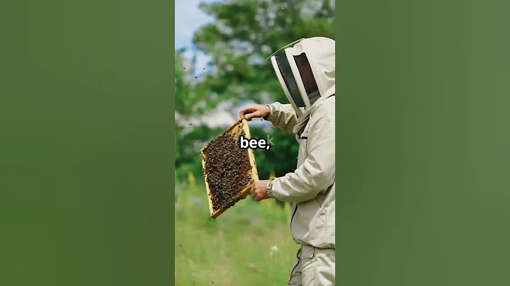 Bees Know Your Face! Don't Annoy Them! #didyouknow #bee #natureshorts