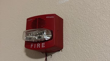 System Test 2 - Truealert Horn Strobes