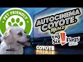 PERRITO en AUTOCINEMA COYOTE (SIX FLAGS MÉXICO) - PET FRIENDLY  🐶