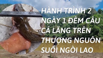 Câu cá tự nhiên /hanh trình câu cá lăng chấm trên suối ngòi lai p1 / con đường nguy hiểm