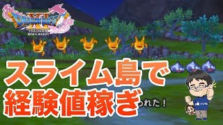 ドラゴンクエスト11 3ds オススメの狩場 スライム島でメタルスライムを狩って経験値を稼ごう Youtube