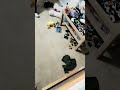 I SAID JUMP #memes #funny #fypシ゚viral #bed