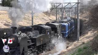 東武鉄道　SL大樹3号 日章旗＆東武鉄道むすめ＆ＳＬ大樹スプリングフェスタ HM 2019/03/21