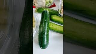 The Best Of New Shorts S Portmaitlanddolly - Best Shorts S 2023. Resimi