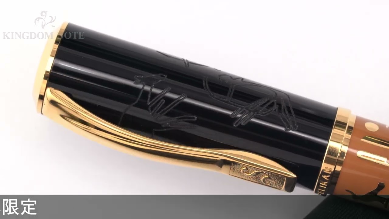 Pelikan ペリカン 万年筆 リミテッドエディション エボリューション